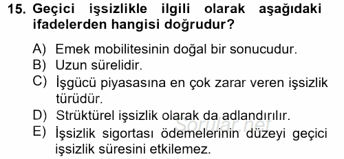 Çalışma Ekonomisi 2 2012 - 2013 Dönem Sonu Sınavı 15.Soru