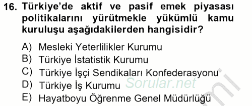 Çalışma Ekonomisi 2 2012 - 2013 Dönem Sonu Sınavı 16.Soru