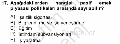 Çalışma Ekonomisi 2 2012 - 2013 Dönem Sonu Sınavı 17.Soru