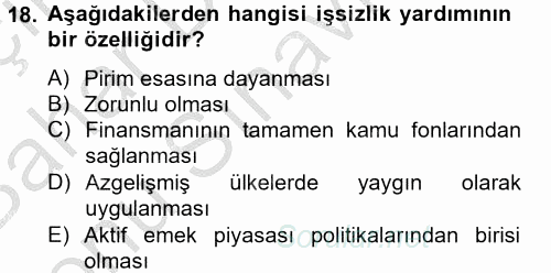 Çalışma Ekonomisi 2 2012 - 2013 Dönem Sonu Sınavı 18.Soru