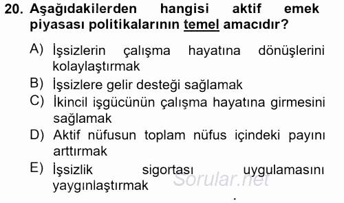 Çalışma Ekonomisi 2 2012 - 2013 Dönem Sonu Sınavı 20.Soru