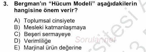 Çalışma Ekonomisi 2 2012 - 2013 Dönem Sonu Sınavı 3.Soru