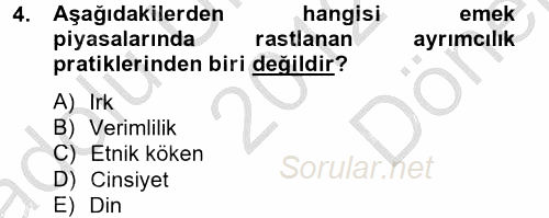 Çalışma Ekonomisi 2 2012 - 2013 Dönem Sonu Sınavı 4.Soru