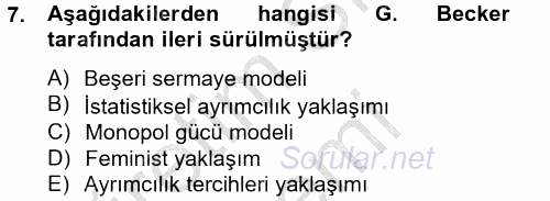 Çalışma Ekonomisi 2 2012 - 2013 Dönem Sonu Sınavı 7.Soru