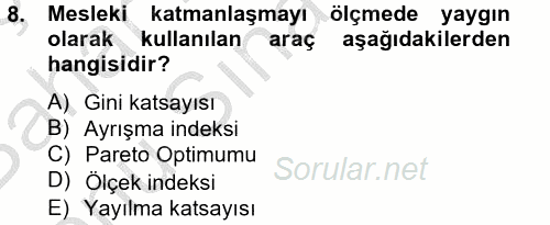 Çalışma Ekonomisi 2 2012 - 2013 Dönem Sonu Sınavı 8.Soru