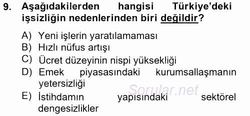 Çalışma Ekonomisi 2 2012 - 2013 Dönem Sonu Sınavı 9.Soru