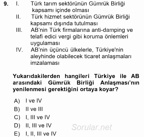 Avrupa Birliği ve Türkiye İlişkileri 2015 - 2016 Ara Sınavı 9.Soru