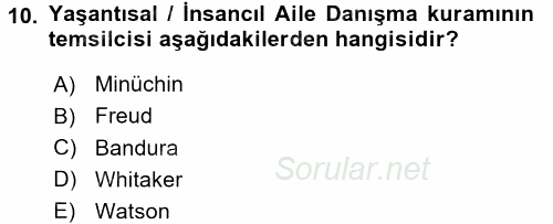 Anne Baba Eğitimi 2016 - 2017 Ara Sınavı 10.Soru