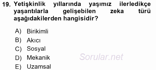 Anne Baba Eğitimi 2016 - 2017 Ara Sınavı 19.Soru