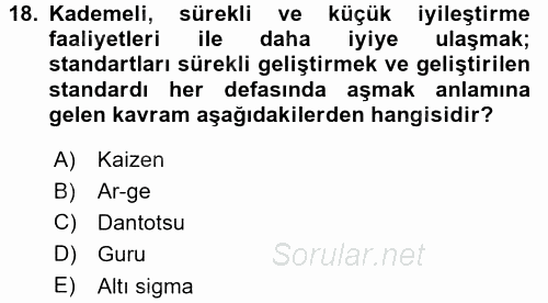 Yönetimde Güncel Yaklaşımlar 2015 - 2016 Dönem Sonu Sınavı 18.Soru