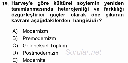 Sosyolojide Yakın Dönem Gelişmeler 2016 - 2017 3 Ders Sınavı 19.Soru