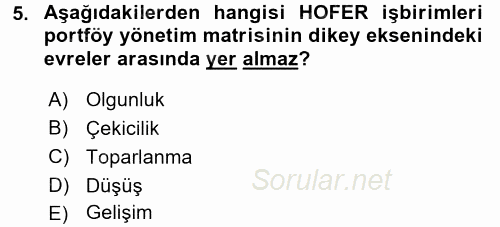 Stratejik Yönetim 2 2017 - 2018 Ara Sınavı 5.Soru