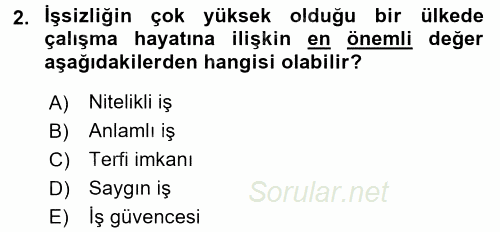 Çalışma Psikolojisi 2017 - 2018 Ara Sınavı 2.Soru