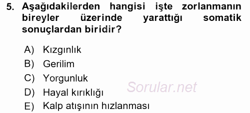 Çalışma Psikolojisi 2017 - 2018 Ara Sınavı 5.Soru