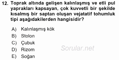 Tarla Bitkileri 1 2015 - 2016 Ara Sınavı 12.Soru