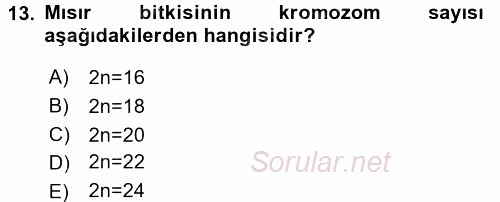 Tarla Bitkileri 1 2015 - 2016 Ara Sınavı 13.Soru