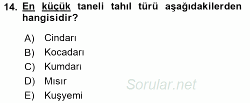 Tarla Bitkileri 1 2015 - 2016 Ara Sınavı 14.Soru