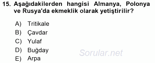 Tarla Bitkileri 1 2015 - 2016 Ara Sınavı 15.Soru