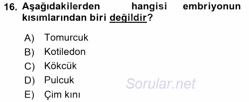 Tarla Bitkileri 1 2015 - 2016 Ara Sınavı 16.Soru