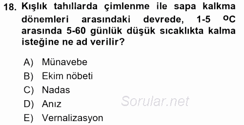 Tarla Bitkileri 1 2015 - 2016 Ara Sınavı 18.Soru
