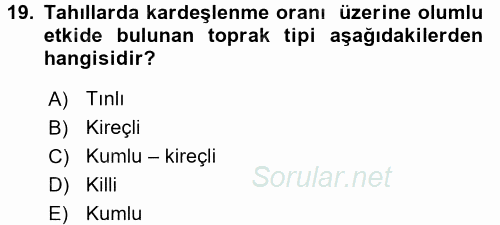 Tarla Bitkileri 1 2015 - 2016 Ara Sınavı 19.Soru