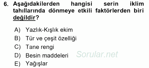 Tarla Bitkileri 1 2015 - 2016 Ara Sınavı 6.Soru