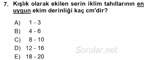 Tarla Bitkileri 1 2015 - 2016 Ara Sınavı 7.Soru