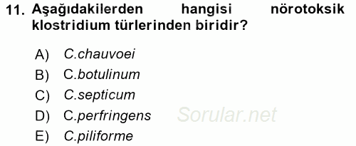 Veteriner Mikrobiyoloji ve Epidemiyoloji 2015 - 2016 Dönem Sonu Sınavı 11.Soru