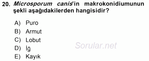 Veteriner Mikrobiyoloji ve Epidemiyoloji 2015 - 2016 Dönem Sonu Sınavı 20.Soru