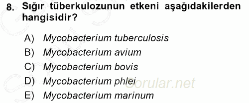 Veteriner Mikrobiyoloji ve Epidemiyoloji 2015 - 2016 Dönem Sonu Sınavı 8.Soru