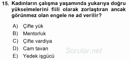 Türkiye´nin Toplumsal Yapısı 2017 - 2018 3 Ders Sınavı 15.Soru