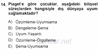 Erken Çocukluk Döneminde Gelişim 1 2013 - 2014 Dönem Sonu Sınavı 14.Soru