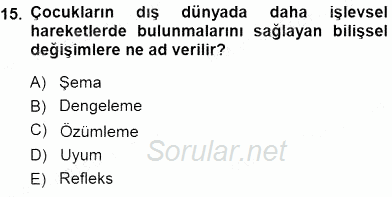 Erken Çocukluk Döneminde Gelişim 1 2013 - 2014 Dönem Sonu Sınavı 15.Soru