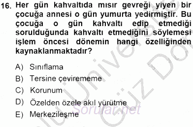 Erken Çocukluk Döneminde Gelişim 1 2013 - 2014 Dönem Sonu Sınavı 16.Soru