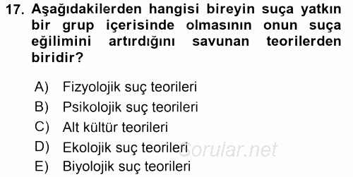 Suç Önleme Modelleri 2015 - 2016 Tek Ders Sınavı 17.Soru