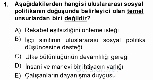 Uluslararası Sosyal Politika 2014 - 2015 Tek Ders Sınavı 1.Soru