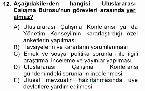 Uluslararası Sosyal Politika 2014 - 2015 Tek Ders Sınavı 12.Soru