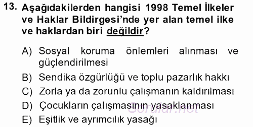 Uluslararası Sosyal Politika 2014 - 2015 Tek Ders Sınavı 13.Soru