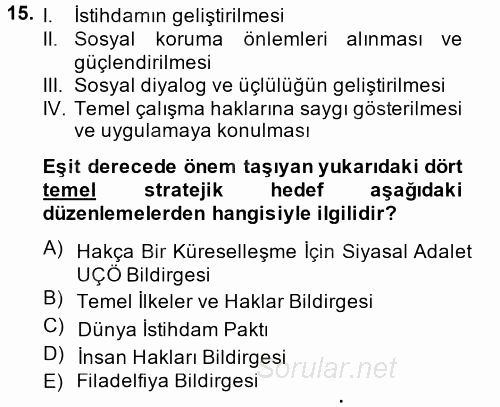 Uluslararası Sosyal Politika 2014 - 2015 Tek Ders Sınavı 15.Soru