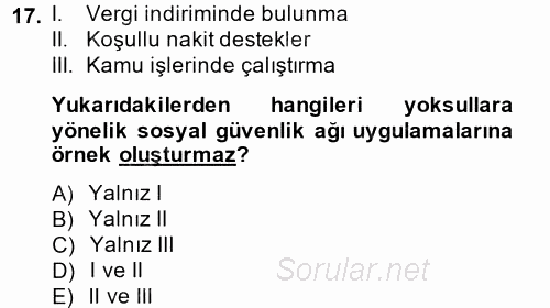 Uluslararası Sosyal Politika 2014 - 2015 Tek Ders Sınavı 17.Soru