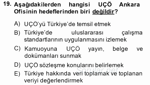Uluslararası Sosyal Politika 2014 - 2015 Tek Ders Sınavı 19.Soru
