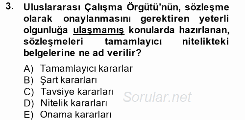 Uluslararası Sosyal Politika 2014 - 2015 Tek Ders Sınavı 3.Soru