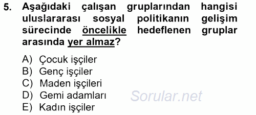 Uluslararası Sosyal Politika 2014 - 2015 Tek Ders Sınavı 5.Soru