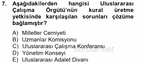 Uluslararası Sosyal Politika 2014 - 2015 Tek Ders Sınavı 7.Soru