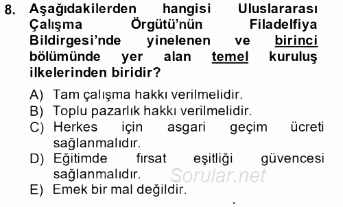 Uluslararası Sosyal Politika 2014 - 2015 Tek Ders Sınavı 8.Soru