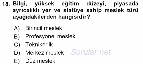 Endüstri Sosyolojisi 2017 - 2018 3 Ders Sınavı 18.Soru