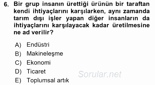 Endüstri Sosyolojisi 2017 - 2018 3 Ders Sınavı 6.Soru