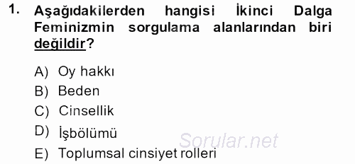 Toplumsal Cinsiyet Çalışmaları 2013 - 2014 Ara Sınavı 1.Soru