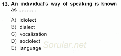 Dilbilim 2 2014 - 2015 Dönem Sonu Sınavı 13.Soru