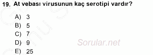 Viroloji 2015 - 2016 Dönem Sonu Sınavı 19.Soru